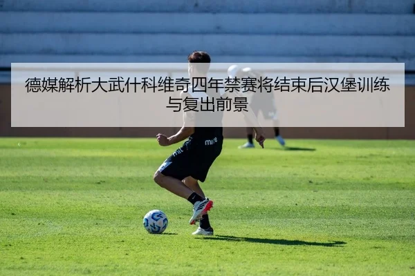 德媒解析大武什科维奇四年禁赛将结束后汉堡训练与复出前景 - MKSports